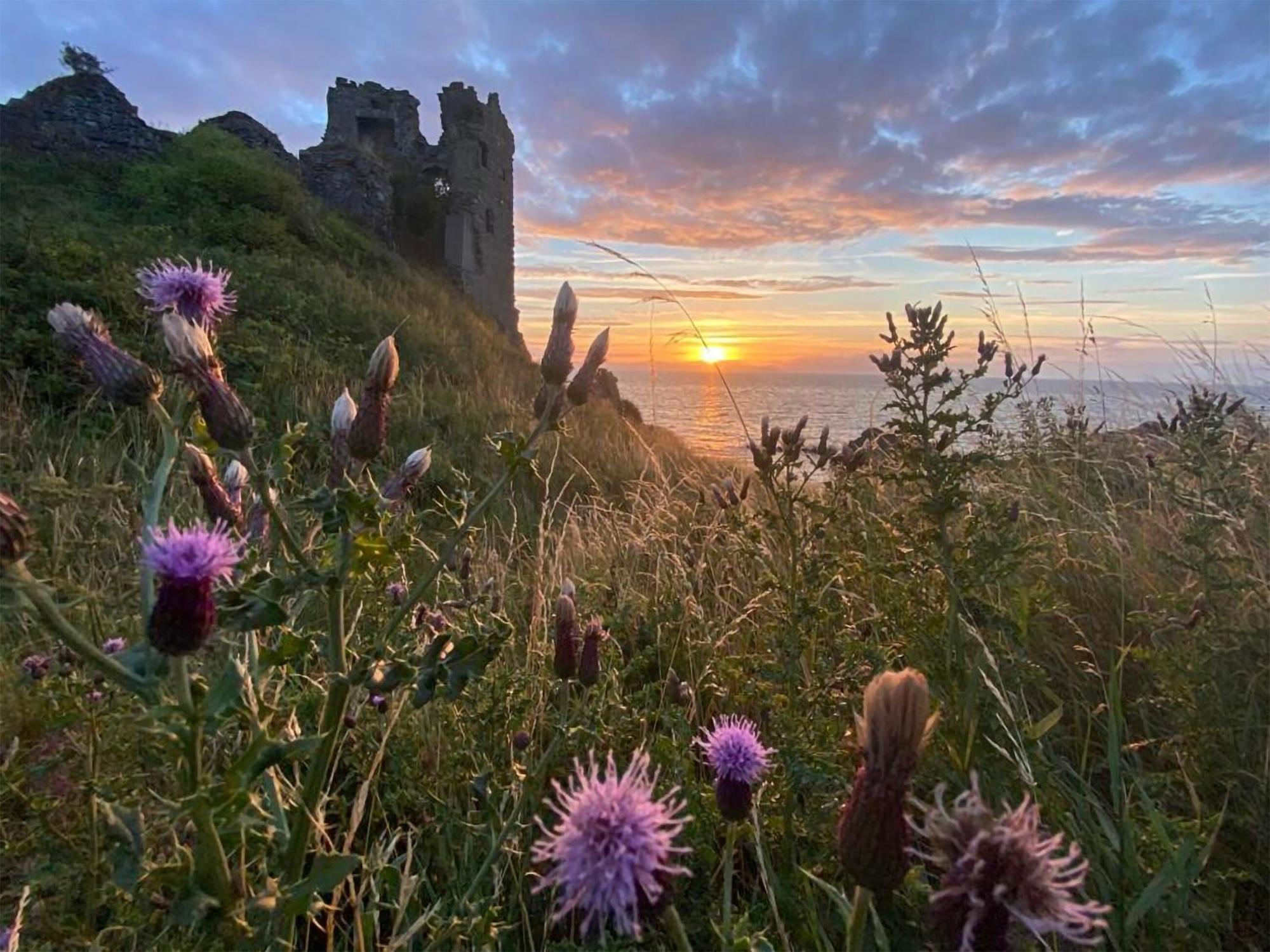 Aird Cottage Dunure Exteriér fotografie