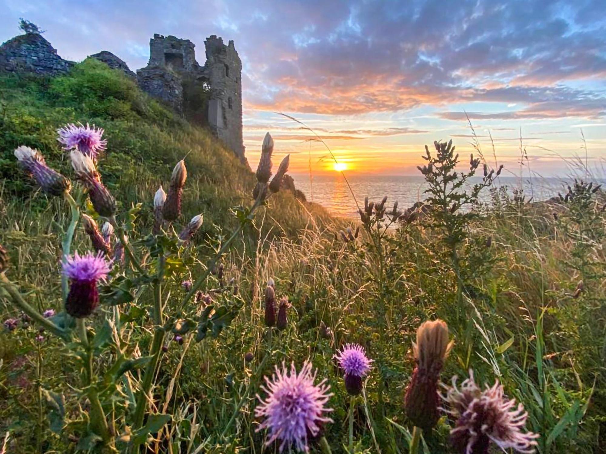 Aird Cottage Dunure Exteriér fotografie